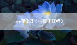 app哪个好（app哪个好听）