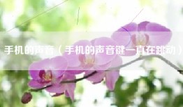 手机的声音（手机的声音键一直在跳动）