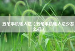 五笔手机输入法（五笔手机输入法少怎么打）