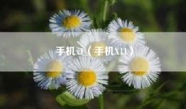 手机x1（手机X11）