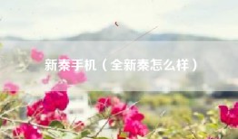 新秦手机（全新秦怎么样）