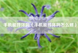 手机能摔坏吗（手机能摔坏吗怎么修）