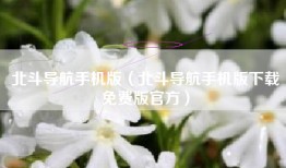北斗导航手机版（北斗导航手机版下载免费版官方）