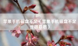 苹果手机磁盘不足（苹果手机磁盘不足是啥意思）