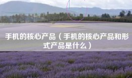 手机的核心产品（手机的核心产品和形式产品是什么）