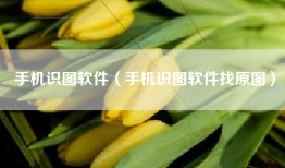 手机识图软件（手机识图软件找原图）