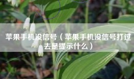 苹果手机没信号（苹果手机没信号打过去是提示什么）