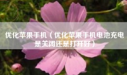 优化苹果手机（优化苹果手机电池充电是关闭还是打开好）