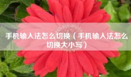 手机输入法怎么切换（手机输入法怎么切换大小写）