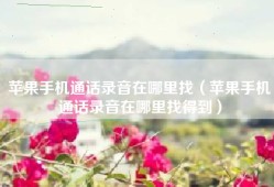 苹果手机通话录音在哪里找（苹果手机通话录音在哪里找得到）