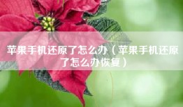 苹果手机还原了怎么办（苹果手机还原了怎么办恢复）