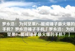 罗永浩：为何坚果Pro能成锤子最火爆的手机？罗永浩锤子手机「罗永浩：为何坚果Pro能成锤子最火爆的手机？」