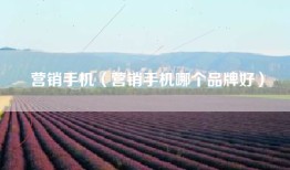营销手机（营销手机哪个品牌好）