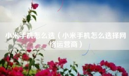 小米手机怎么选（小米手机怎么选择网络运营商）
