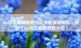 dos攻击漏洞思路小结手机强制解压zip密码「dos攻击漏洞思路小结」