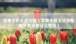 苹果手机无法充电（苹果手机无法充电显示有液体什么情况）