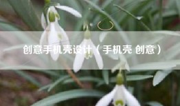 创意手机壳设计（手机壳 创意）