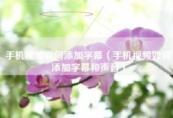 手机视频如何添加字幕（手机视频如何添加字幕和声音）