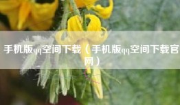 手机版qq空间下载（手机版qq空间下载官网）