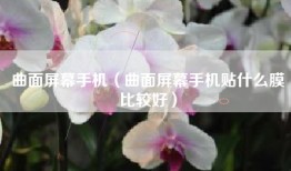 曲面屏幕手机（曲面屏幕手机贴什么膜比较好）