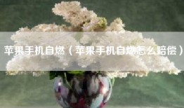 苹果手机自燃（苹果手机自燃怎么赔偿）