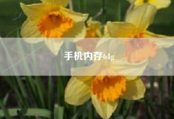 手机内存64g