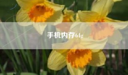 手机内存64g