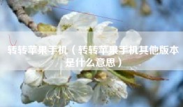 转转苹果手机（转转苹果手机其他版本是什么意思）