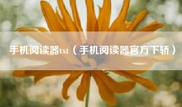 手机阅读器txt（手机阅读器官方下轿）