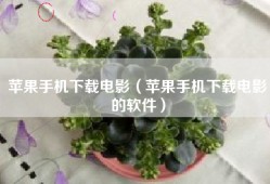 苹果手机下载电影（苹果手机下载电影的软件）