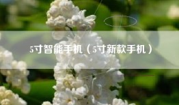 5寸智能手机（5寸新款手机）