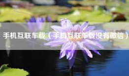 手机互联车载（手机互联车载没有微信）