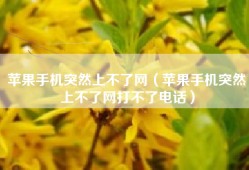 苹果手机突然上不了网（苹果手机突然上不了网打不了电话）