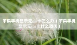 苹果手机显示无sim卡怎么办（苹果手机显示无sim卡什么原因）
