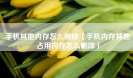 手机其他内存怎么删除（手机内存其他占用内存怎么删除）
