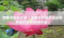 苹果手机扬声器（苹果手机扬声器没有声音只有听筒有声音）