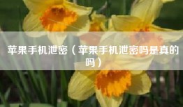 苹果手机泄密（苹果手机泄密吗是真的吗）