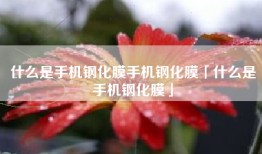 什么是手机钢化膜手机钢化膜「什么是手机钢化膜」