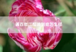 善百年二酯油到底怎么样