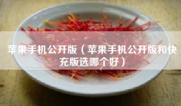 苹果手机公开版（苹果手机公开版和快充版选哪个好）