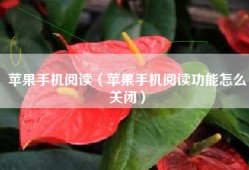 苹果手机阅读（苹果手机阅读功能怎么关闭）