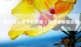 破解版安卓手机游戏（安卓破解版游戏网）