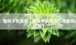 魅族手机录音（魅族手机录音文件保存在哪）