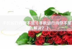 手机运行内存不足（手机运行内存不足怎么解决？）