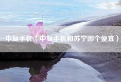 中复手机（中复手机和苏宁哪个便宜）