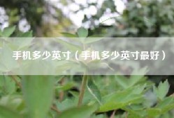 手机多少英寸（手机多少英寸最好）