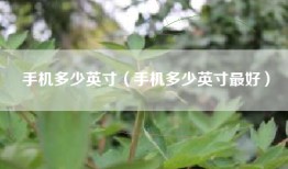 手机多少英寸（手机多少英寸最好）