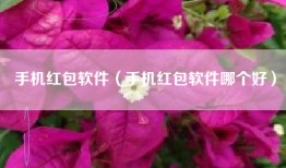 手机红包软件（手机红包软件哪个好）