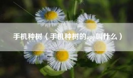 手机种树（手机种树的app叫什么）