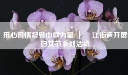 用心用情凝聚巾帼力量 ｜ 鮀江街道开展妇女节系列活动